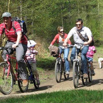 Forest of Dean Cycling Guide Map